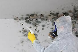 Best Airborne Mold Testing  in Parksdale, CA